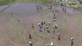 「浮かび上がる大谷翔平選手とデコピンの姿　出身地で恒例の田んぼアートの田植え　地域の老若男女200人が参加　見ごろは6月下旬から7月いっぱい　岩手・奥州市」の画像1