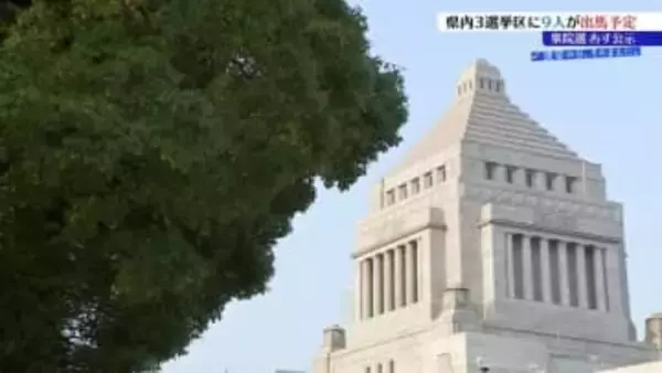 36年ぶり真冬の総選挙　岩手1区は4人激突、2区は一騎打ち、3区は三つどもえ　2月8日投開票へ