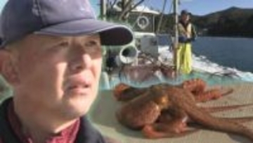 東日本大震災と2月の大規模山林火災で二度被災しながらもなりわい再生に向け試練と向き合う漁師たち　岩手・大船渡市