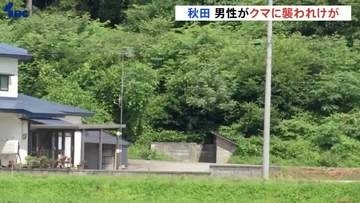自宅裏に散歩で出た28歳男性がクマに襲われる　顎をかまれるなどして病院に搬送　秋田・仙北市