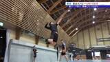 「「勝利を地域の力に」11月から始まるバレーボールの新リーグ、V．LEAGUEに参入するOWLS岩手　紫波町」の画像1