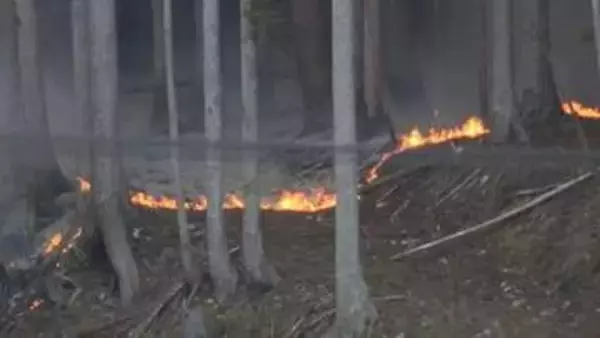 延焼拡大の現場近くから中継　山林火災発生から3日目　岩手・大槌町