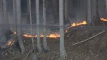 大槌城山公園から中継　山林火災発生から3日目　岩手