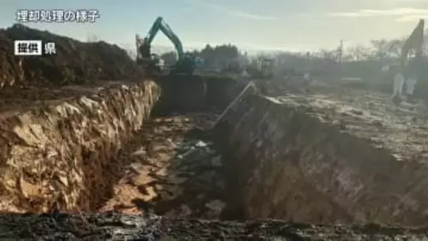 ニワトリ約56万羽のうち9％の処分終了　高病原性鳥インフルエンザ確認された養鶏場　建設業協会や民間団体も防疫措置に協力　延べ354人が従事　岩手・金ケ崎町