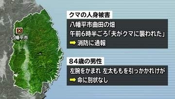農作業をしていた80代の男性がクマに襲われけが　左腕を噛まれ、左太ももを引っかかれる　岩手・八幡平市