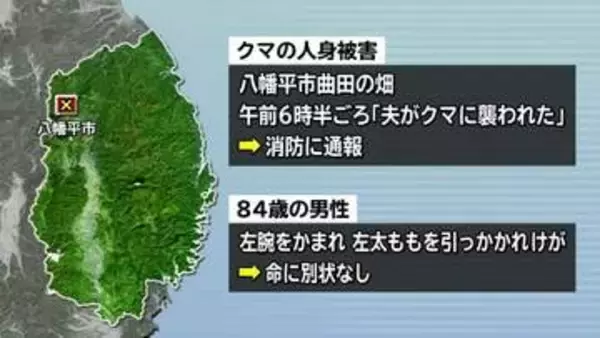 農作業をしていた80代の男性がクマに襲われけが　左腕を噛まれ、左太ももを引っかかれる　岩手・八幡平市