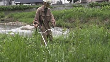 クマ出没を未然に防ぐため　東北絆まつりを前に中津川河川敷の刈り払い行われる　盛岡市
