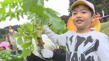 「おでんにして食べたい」深くまで根を下したダイコンを悪戦苦闘しながら収穫　保育園児がダイコン抜き体験　岩手・一関市