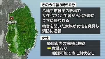 八幡平の牧場で女性がクマに襲われけが　意識あり命に別条なし　岩手