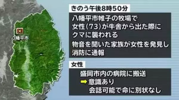 八幡平の牧場で女性がクマに襲われけが　意識あり命に別条なし　岩手