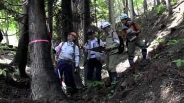 大船渡市の大規模山林火災被害額約98億円に　6割が森林被害　岩手