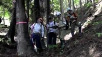 大船渡市の大規模山林火災被害額約98億円に　6割が森林被害　岩手