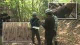 「岩手県大槌町の山林火災の発生から22日で1か月　現地調査進む　山林復旧の課題は　岩手」の画像1