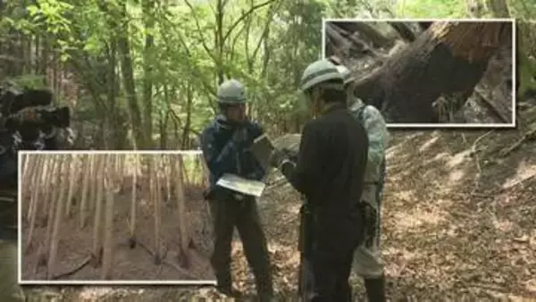 岩手県大槌町の山林火災の発生から22日で1か月　現地調査進む　山林復旧の課題は　岩手