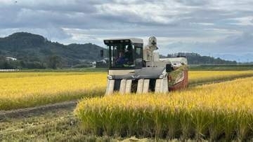「緊張したけど楽しかった」来春閉校となる小学校で最後の稲刈り体験　盛岡市