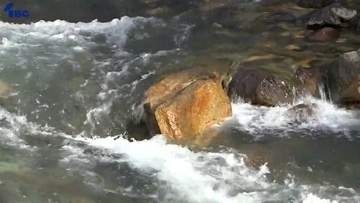雫石町の滝で「人のようなもの」を発見　沢登りに出たまま行方不明の2人か？　しかし救出には至らず　岩手