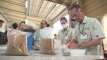 全てが最高等級の「1等」となり品質は良好　2026年度産の小麦の初検査行われる　岩手・紫波町