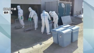 鶏インフルエンザによる防疫措置　ニワトリ13万羽あまりの殺処分終了　全体の約23％　岩手・金ケ崎町