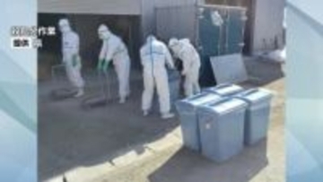鶏インフルエンザによる防疫措置　ニワトリ13万羽あまりの殺処分終了　全体の約23％　岩手・金ケ崎町