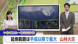 「「いわてこの一年①」平成以降最大の延焼面積・大船渡市の大規模山林火災」の画像1