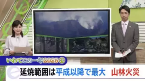 「いわてこの一年①」平成以降最大の延焼面積・大船渡市の大規模山林火災
