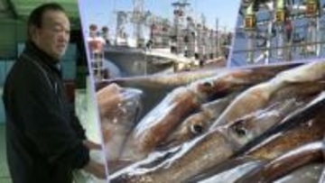 2014年以来の豊漁から一転、小型イカ釣り船によるスルメイカ漁に停止命令　漁獲可能量制度による休漁で募る不満　岩手・久慈市