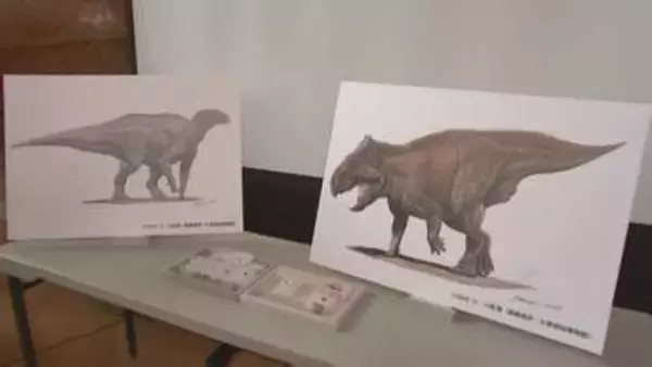 「トリケラトプスやイグアノドンの仲間とみられる恐竜の歯の化石みつかる　国内では4例目、東日本では初　岩手・久慈市」の画像