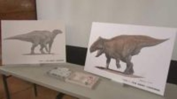 トリケラトプスやイグアノドンの仲間とみられる恐竜の歯の化石みつかる　国内では4例目、東日本では初　岩手・久慈市