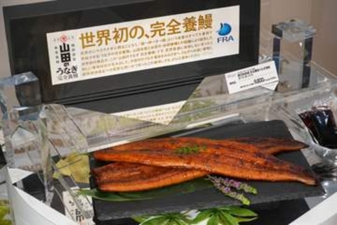 イオン、世界初・完全養殖ウナギ蒲焼を試験販売　天然資源に頼らない