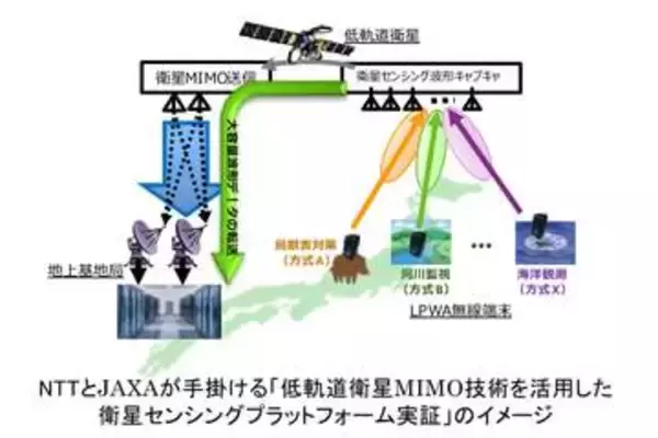 NTTとJAXA、低軌道衛星でのMIMO通信を実証　伝送量向上へ