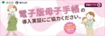 東京都、電子版母子手帳実証　マイナカードと連携