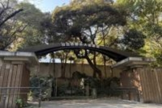 帝国ホテル周辺再開発と日比谷公園全面改修　野音も変わる【Watch+】