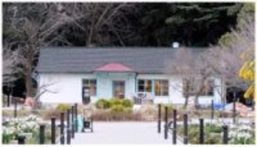 代々木公園リニューアル、旧五輪宿舎にドトール出店　夜間利用拡大