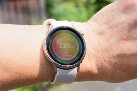 【レビュー】食事の「摂取」カロリーが自動でわかる シャープのスマートウォッチを2週間使った