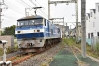 葛飾区 新小岩～金町の新交通整備構想「新金貨物線」を全踏破　LRT? BRT?