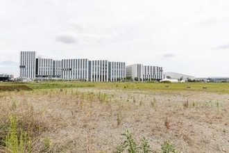 羽田空港跡地に広大な公園　イノベーションシティ目の前