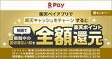 「楽天ペイ、自動車税などの請求書払いで全額ポイント還元(抽選100名)」の画像1