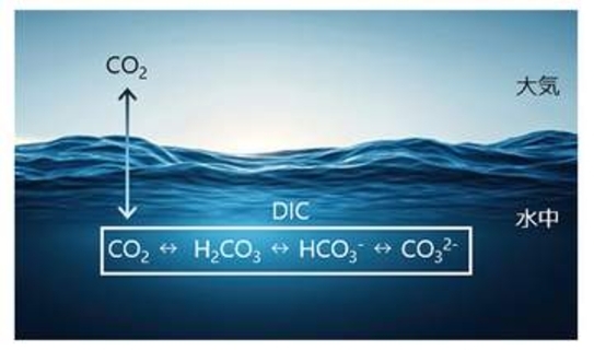 CO2を資源に変える藻類、生産効率化へ　NTTが新技術