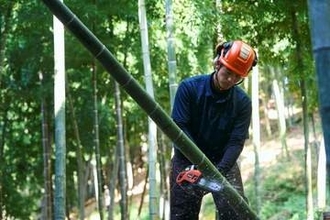 アマゾン、日本で森林再生　20カ所の「森林づくり」