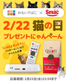 バッファロー、「猫の日」にデジタルフォトアルバム「おもいでばこ」とキャットフード「Quoli」のセットが当たるキャンペーン