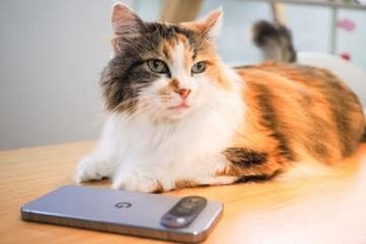 AirDropで直接つながる！ Macを使ってAndroidスマホの写真と動画をバックアップする