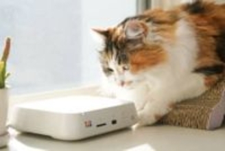 アルバム整理やプリンターでの印刷を快適に、バッファロー「おもいでばこ」のPC版アプリを使う