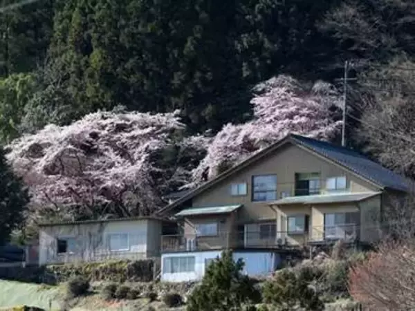 地方移住で実現した夢のオーディオ部屋も……今年の冬はプチプチ寒さ対策で乗り切りました【奥川浩彦の「岐阜の山奥に移住しました」第9回】