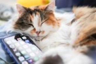 Bluetoothで簡単にファイル共有！ Windowsの「スマートフォン連携」アプリでスマホから写真を転送する（設定編）