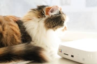 QRコードで簡単に写真を共有、バッファロー「おもいでばこ」で「Googleフォト」連携機能を使う