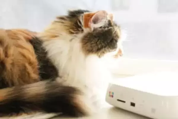 QRコードで簡単に写真を共有、バッファロー「おもいでばこ」で「Googleフォト」連携機能を使う