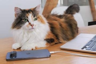 Androidの写真と動画をMacにUSBケーブル接続でバックアップする