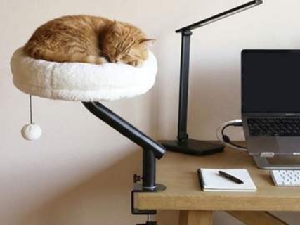 「猫はなぜキーボードに乗る？」から生まれたデスクサイド用猫ベッド、シービージャパンが発売
