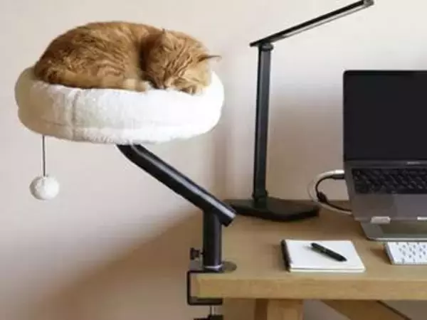 「猫はなぜキーボードに乗る？」から生まれたデスクサイド用猫ベッド、シービージャパンが発売