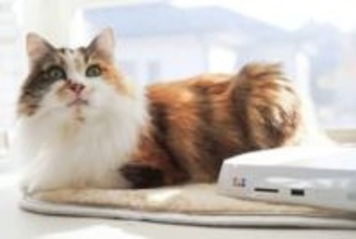 スマホの写真を簡単バックアップ！ バッファロー「おもいでばこ」に転送した写真をテレビで楽しむ